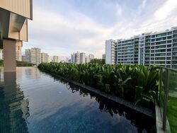 Jui Residences (D12), Apartment #455652961